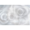 Affreschi & Affreschi | Flo | Flora | KR0501